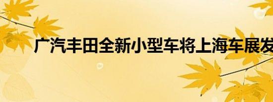 广汽丰田全新小型车将上海车展发布