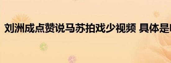 刘洲成点赞说马苏拍戏少视频 具体是啥情况