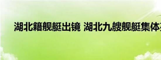 湖北籍舰艇出镜 湖北九艘舰艇集体亮相