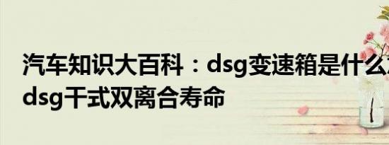 汽车知识大百科：dsg变速箱是什么意思 7速dsg干式双离合寿命