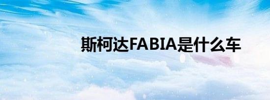 斯柯达FABIA是什么车