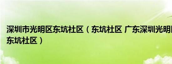 深圳市光明区东坑社区（东坑社区 广东深圳光明区凤凰街道东坑社区）