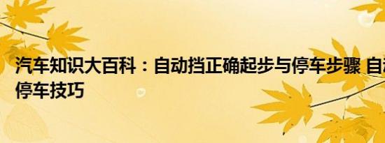 汽车知识大百科：自动挡正确起步与停车步骤 自动档起步和停车技巧