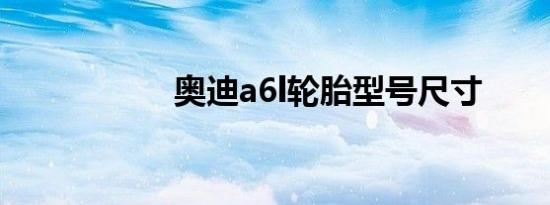 奥迪a6l轮胎型号尺寸