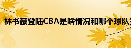 林书豪登陆CBA是啥情况和哪个球队签约了