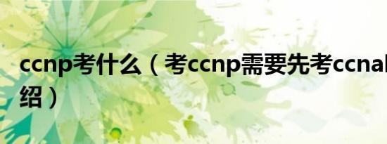 ccnp考什么（考ccnp需要先考ccna吗简介介绍）