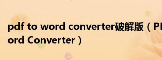 pdf to word converter破解版（PDF to Word Converter）