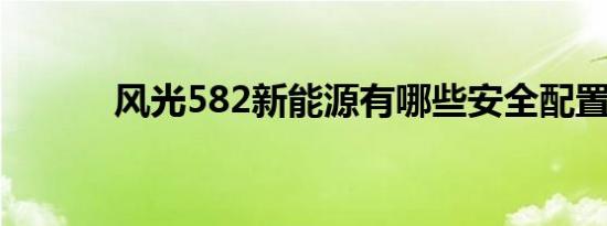 风光582新能源有哪些安全配置