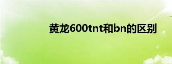 黄龙600tnt和bn的区别