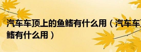 汽车车顶上的鱼鳍有什么用（汽车车顶上的鱼鳍有什么用）