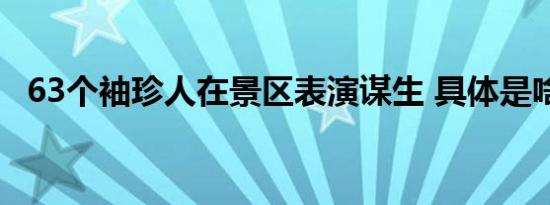 63个袖珍人在景区表演谋生 具体是啥情况