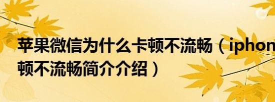 苹果微信为什么卡顿不流畅（iphone微信卡顿不流畅简介介绍）