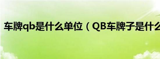 车牌qb是什么单位（QB车牌子是什么意思）