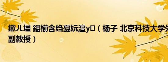 鏉ㄦ壃 鍖椾含绉戞妧澶у（杨子 北京科技大学外国语学院副教授）