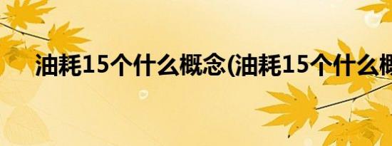 油耗15个什么概念(油耗15个什么概念)