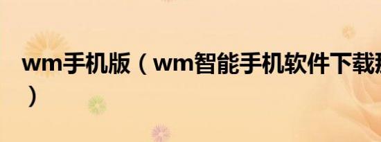 wm手机版（wm智能手机软件下载那儿有啊）