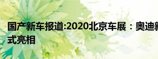 国产新车报道:2020北京车展：奥迪新款R8正式亮相