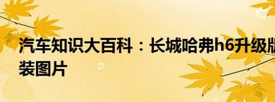 汽车知识大百科：长城哈弗h6升级版内饰改装图片