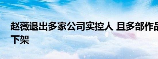 赵薇退出多家公司实控人 且多部作品被平台下架