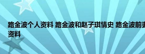 路金波个人资料 路金波和赵子琪情史 路金波前妻王蕾个人资料