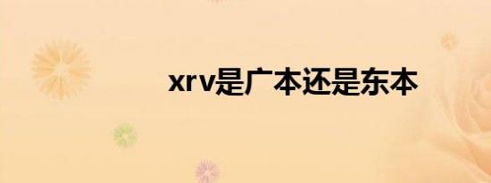 xrv是广本还是东本