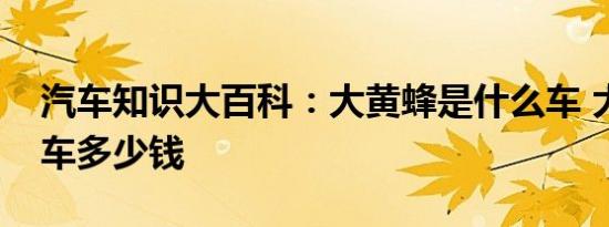 汽车知识大百科：大黄蜂是什么车 大黄蜂跑车多少钱