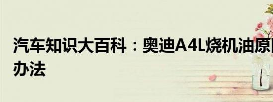 汽车知识大百科：奥迪A4L烧机油原因及解决办法