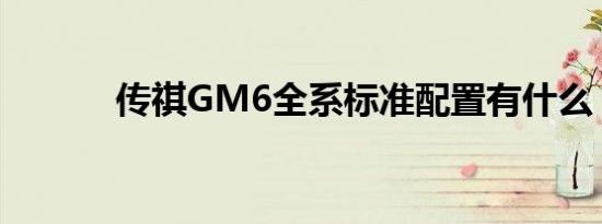 传祺GM6全系标准配置有什么 