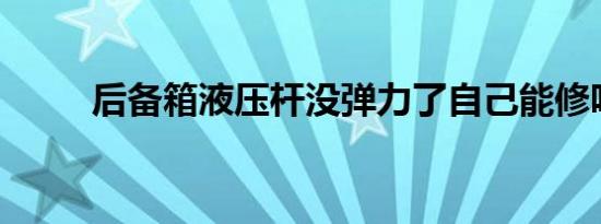 后备箱液压杆没弹力了自己能修吗