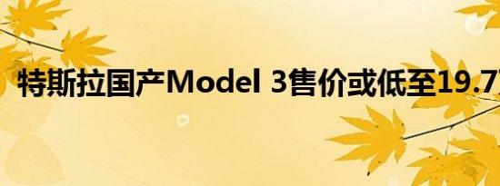 特斯拉国产Model 3售价或低至19.7万元？