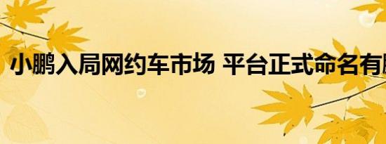 小鹏入局网约车市场 平台正式命名有鹏出行