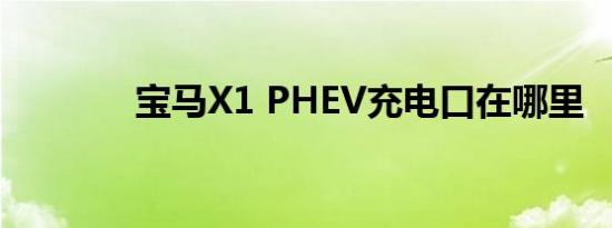 宝马X1 PHEV充电口在哪里 