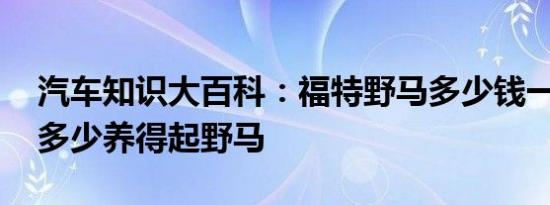 汽车知识大百科：福特野马多少钱一辆 工资多少养得起野马