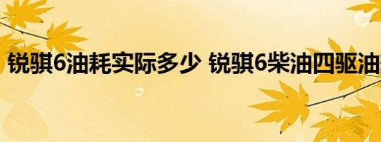 锐骐6油耗实际多少 锐骐6柴油四驱油耗测试