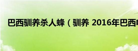 巴西驯养杀人蜂（驯养 2016年巴西电影）