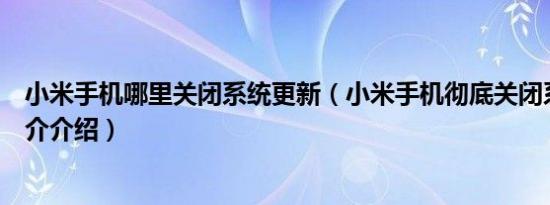 小米手机哪里关闭系统更新（小米手机彻底关闭系统更新简介介绍）