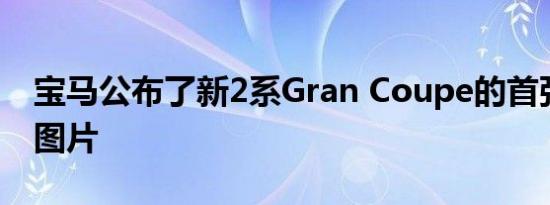 宝马公布了新2系Gran Coupe的首张预告片图片