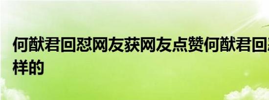 何猷君回怼网友获网友点赞何猷君回怼具体怎样的