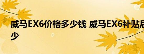 威马EX6价格多少钱 威马EX6补贴后售价多少 