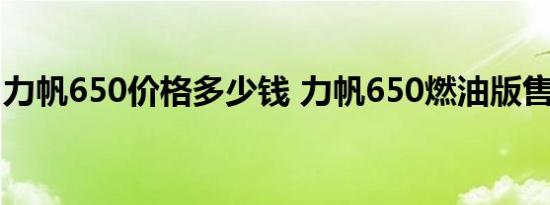 力帆650价格多少钱 力帆650燃油版售价报价