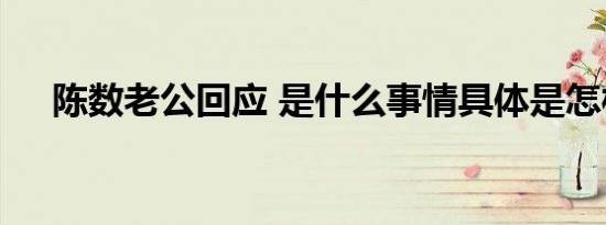 陈数老公回应 是什么事情具体是怎样的