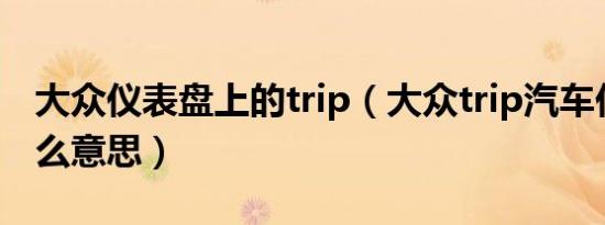 大众仪表盘上的trip（大众trip汽车仪表盘什么意思）