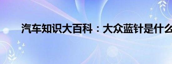 汽车知识大百科：大众蓝针是什么车