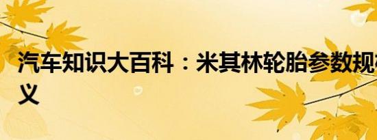 汽车知识大百科：米其林轮胎参数规格解释含义