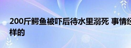 200斤鳄鱼被吓后待水里溺死 事情经过是怎样的