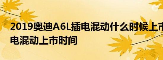 2019奥迪A6L插电混动什么时候上市 A6L插电混动上市时间