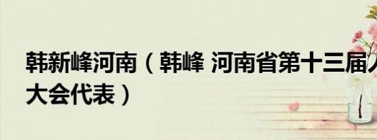 韩新峰河南（韩峰 河南省第十三届人民代表大会代表）