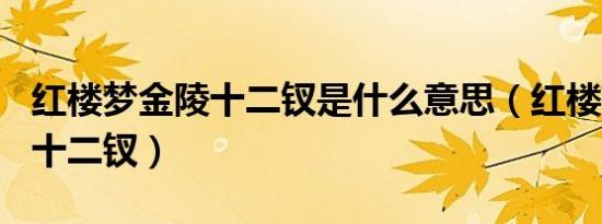 红楼梦金陵十二钗是什么意思（红楼梦--金陵十二钗）