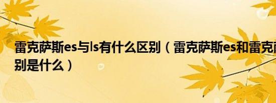 雷克萨斯es与ls有什么区别（雷克萨斯es和雷克萨斯ls的区别是什么）