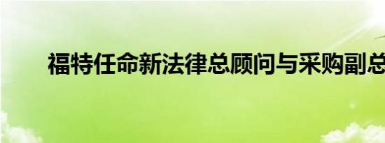 福特任命新法律总顾问与采购副总裁